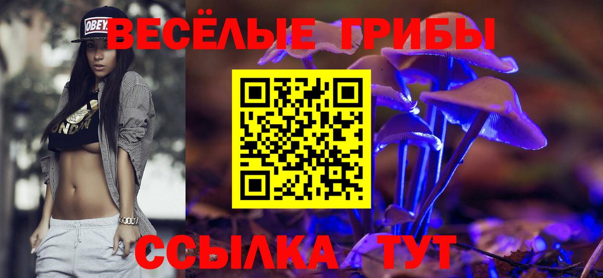 Белебей  Псилоцибиновые грибы мицелий  Псилоцибиновые грибы Psilocybe  Вход с VPN 