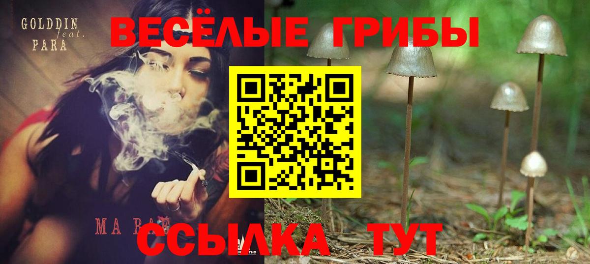 Псилоцибиновые грибы Psilocybe Белебей